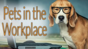 pets in the workplace